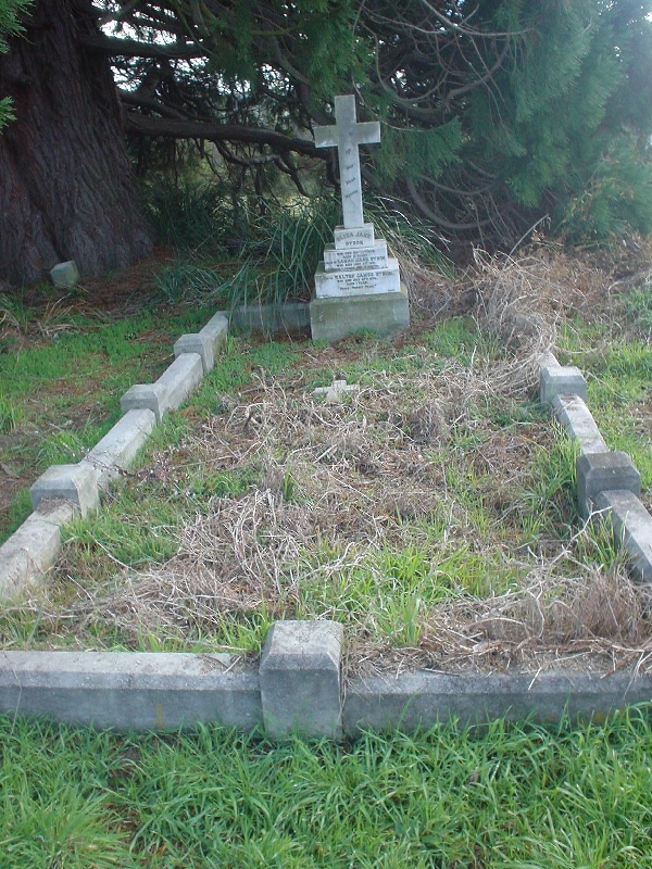 Full-size image