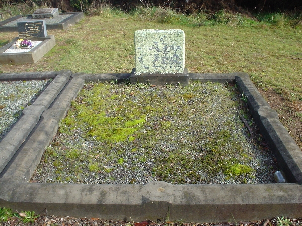 Full-size image