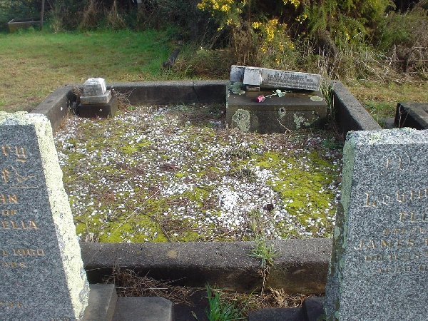 Full-size image