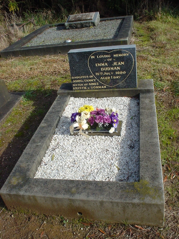 Full-size image