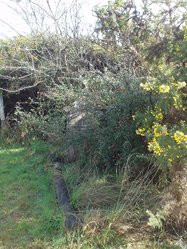 Full-size image