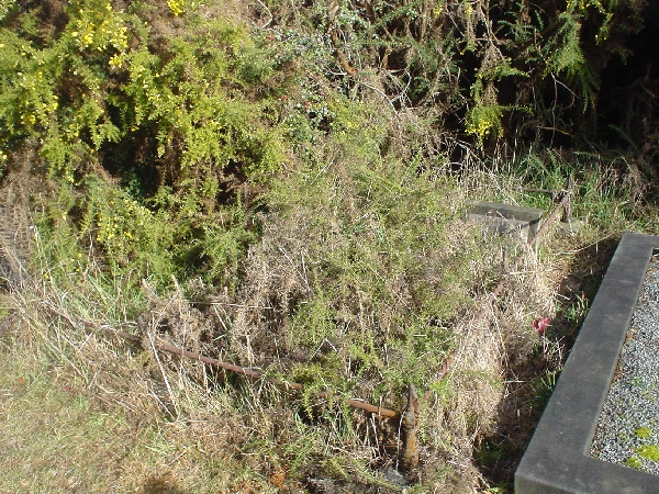 Full-size image