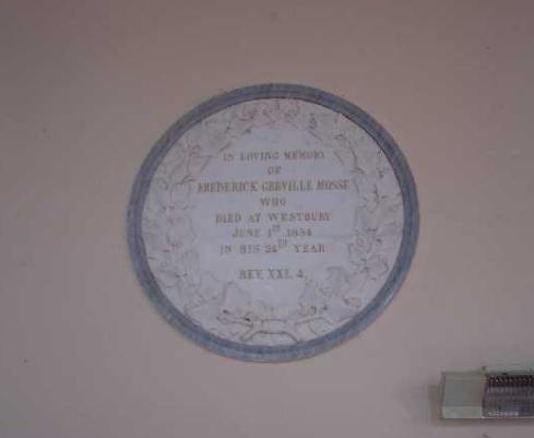 Full-size image