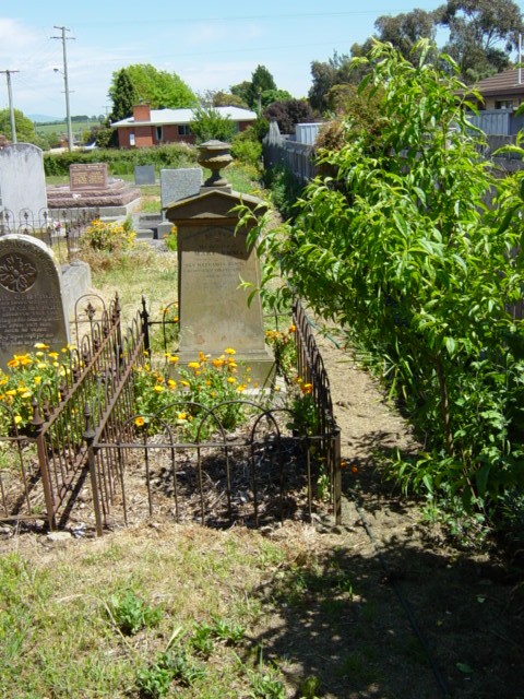 Full-size image