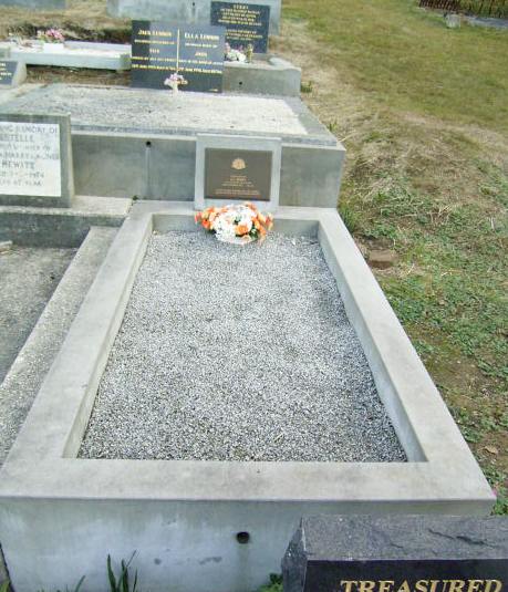 Full-size image