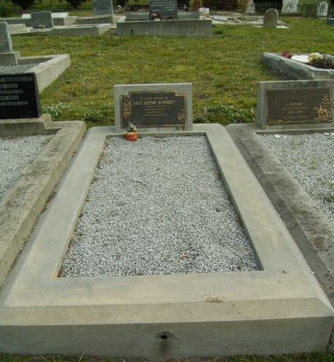 Full-size image