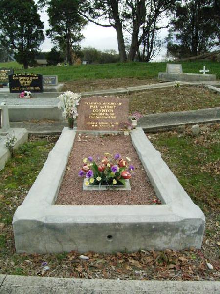 Full-size image