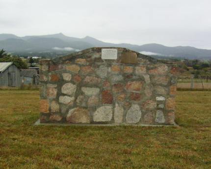 Full-size image
