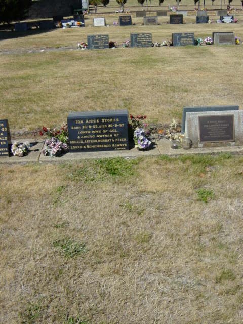 Full-size image