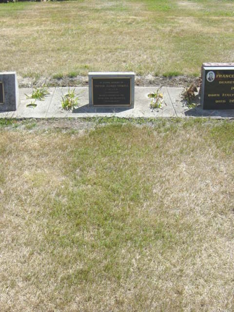 Full-size image