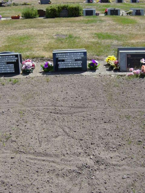 Full-size image