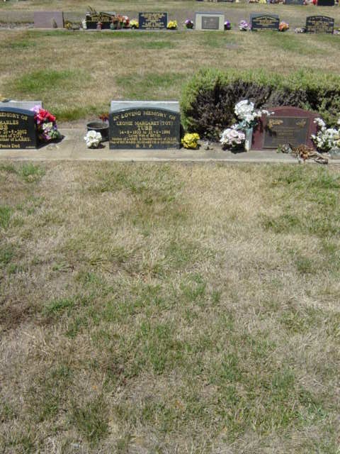 Full-size image
