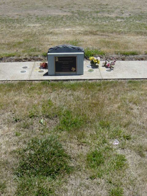 Full-size image