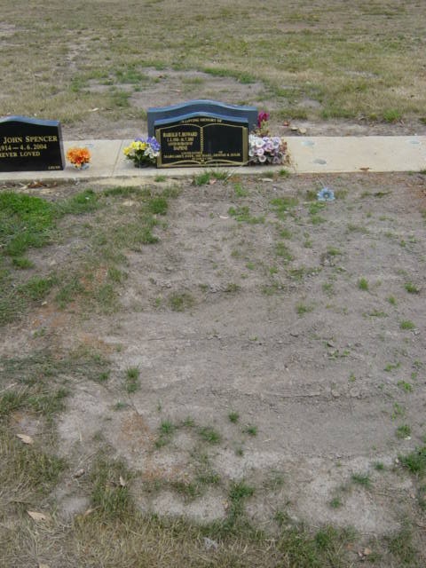 Full-size image