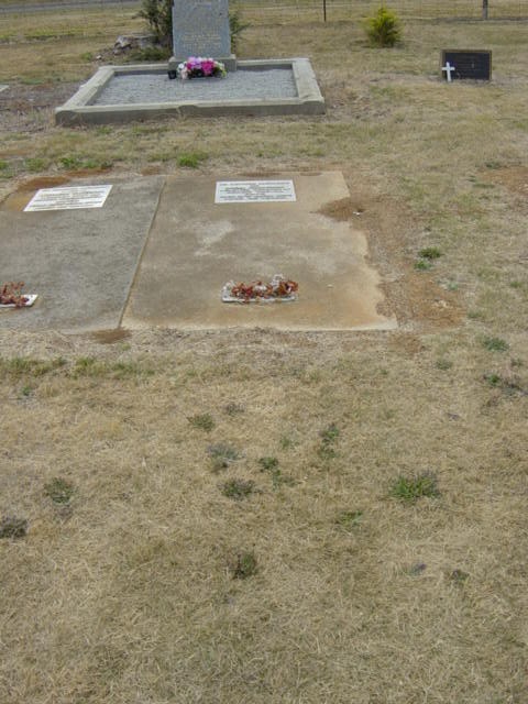 Full-size image