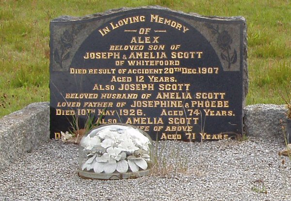 Full-size image