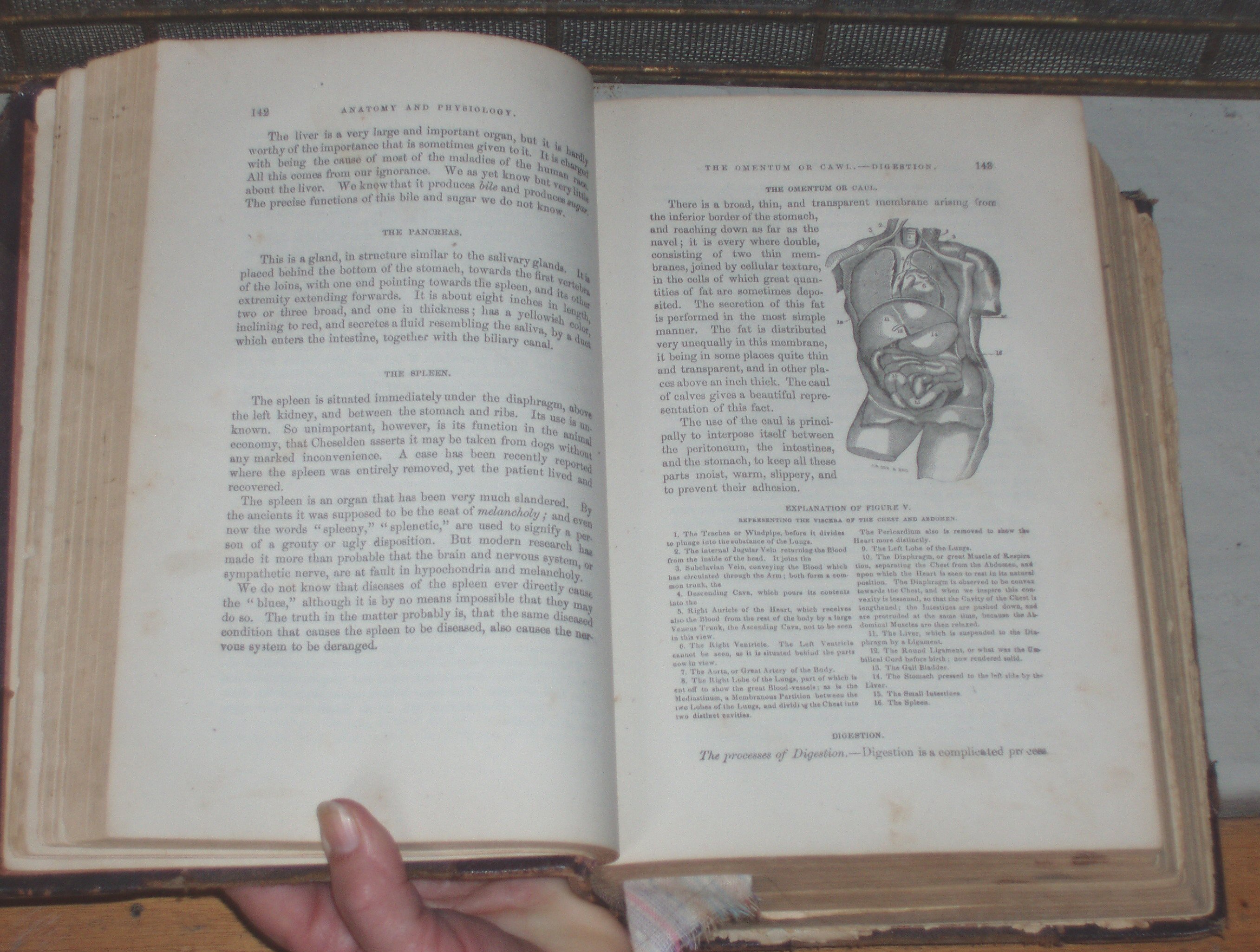 Full-size image