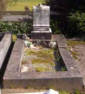 Full-size image