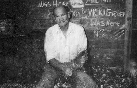 Full-size image