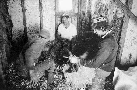 Full-size image