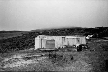 Full-size image