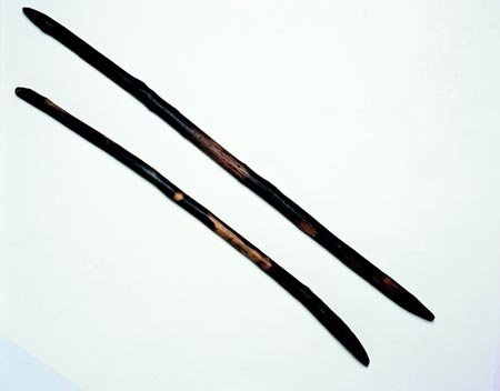 Full-size image