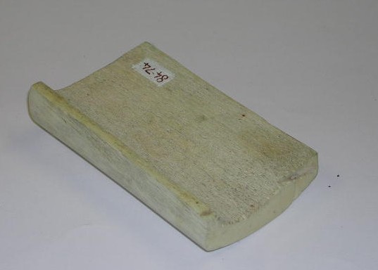 Full-size image