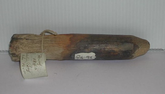 Full-size image