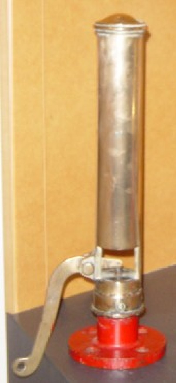 Full-size image