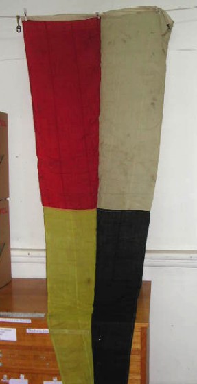 Full-size image
