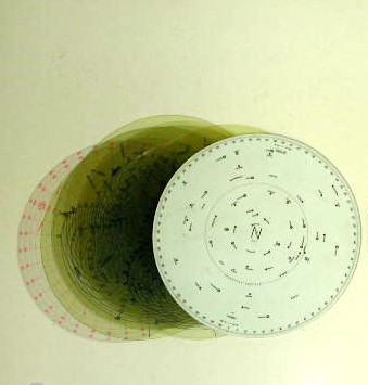 Full-size image
