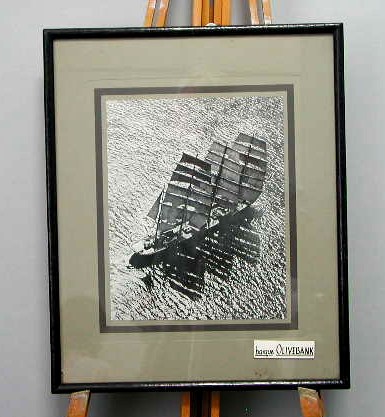 Full-size image