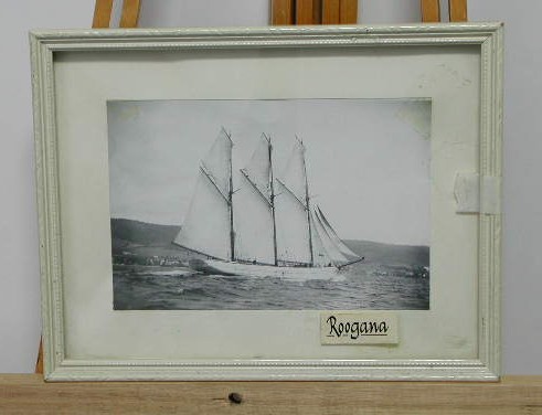 Full-size image