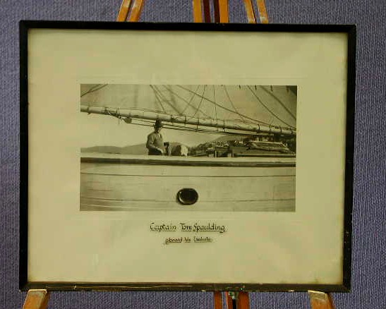 Full-size image