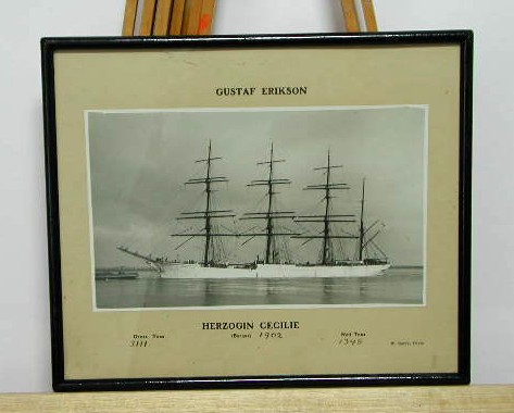 Full-size image