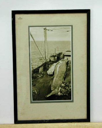 Full-size image