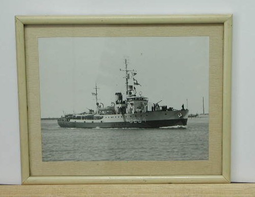 Full-size image