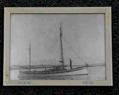 Full-size image