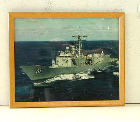 Full-size image