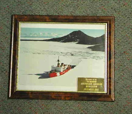 Full-size image