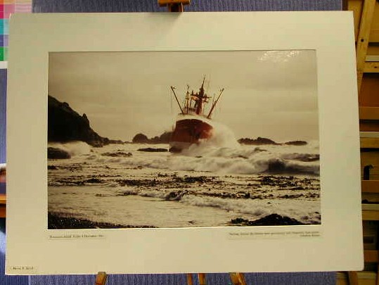 Full-size image