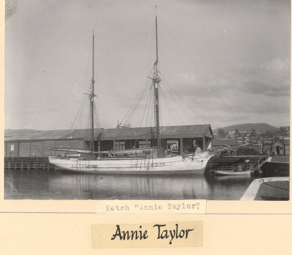 Full-size image