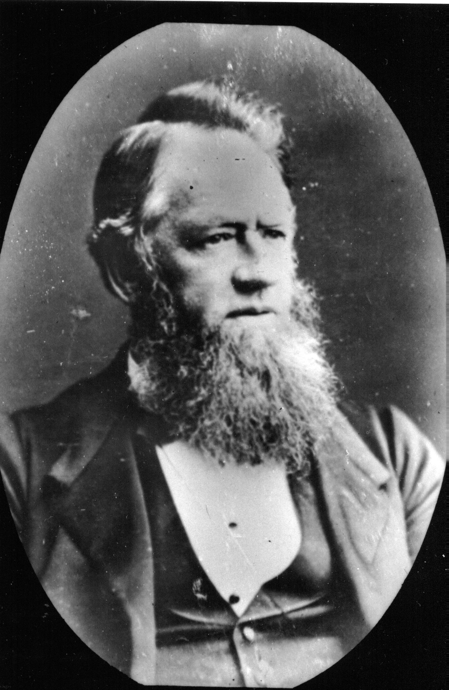 Full-size image