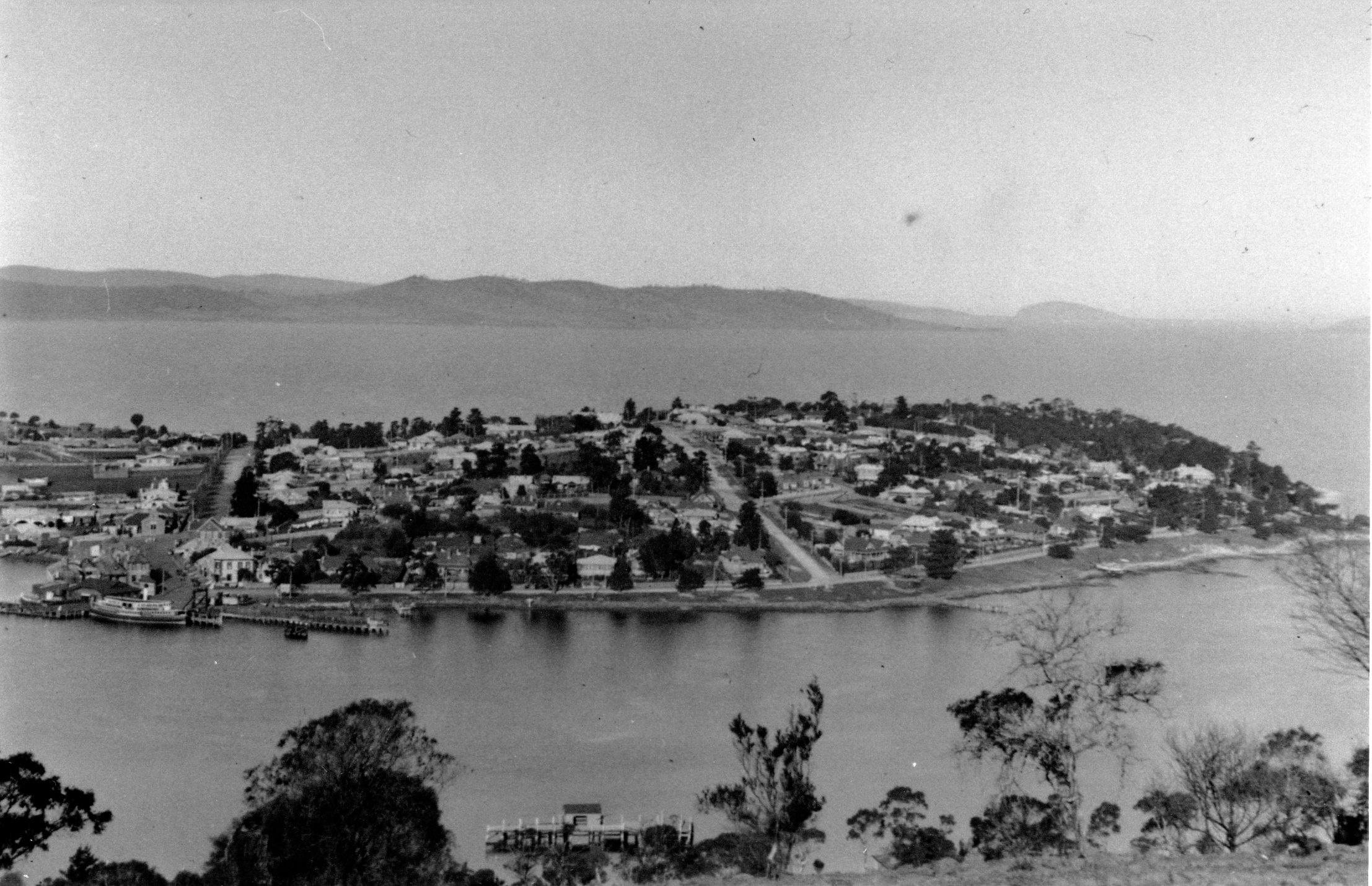 Full-size image