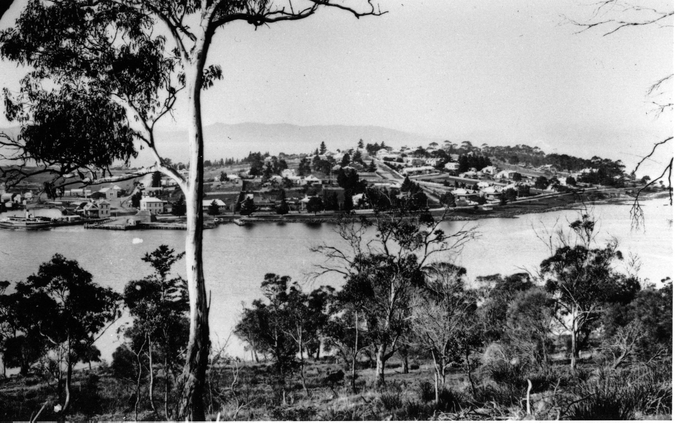 Full-size image