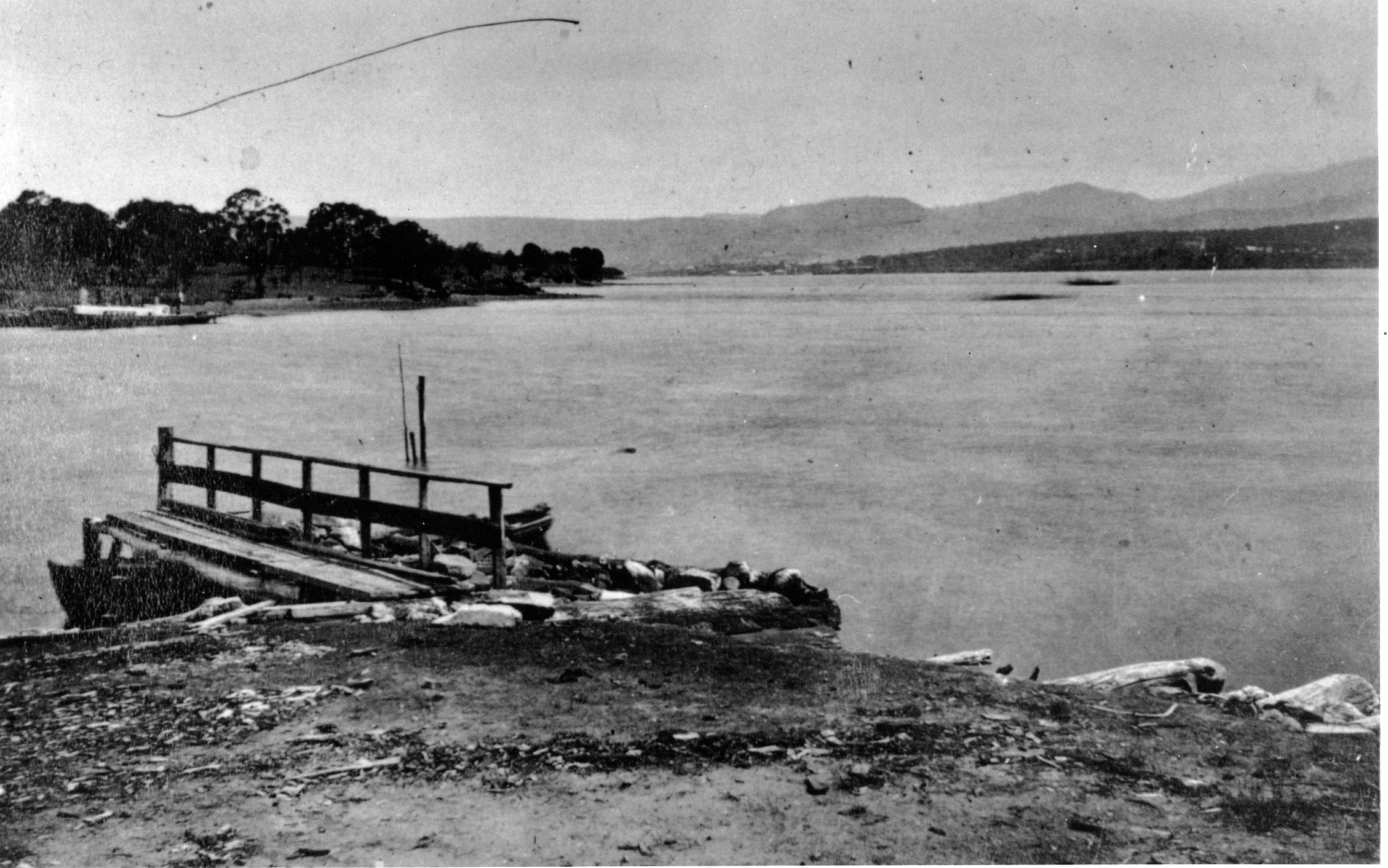 Full-size image