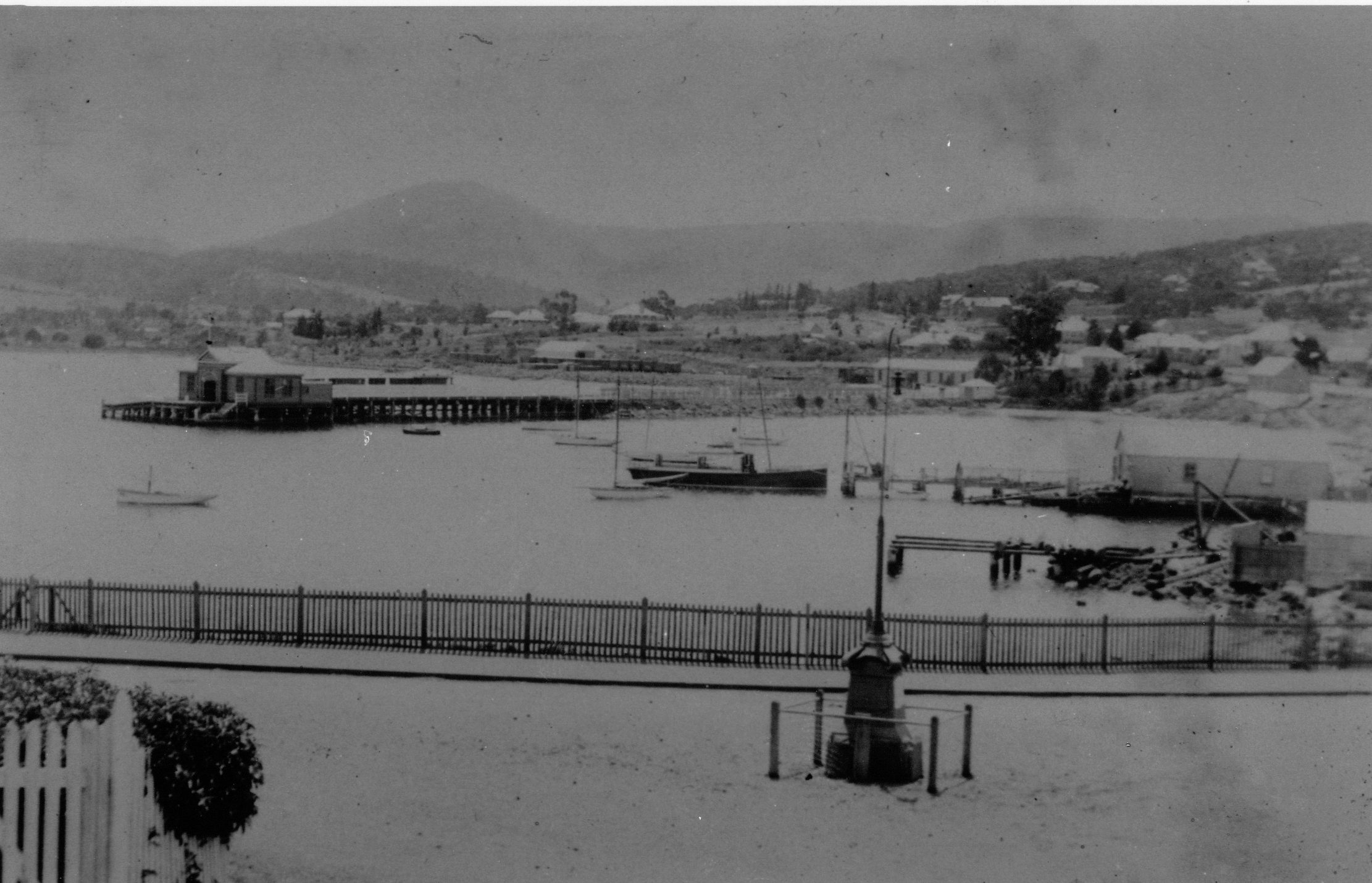 Full-size image