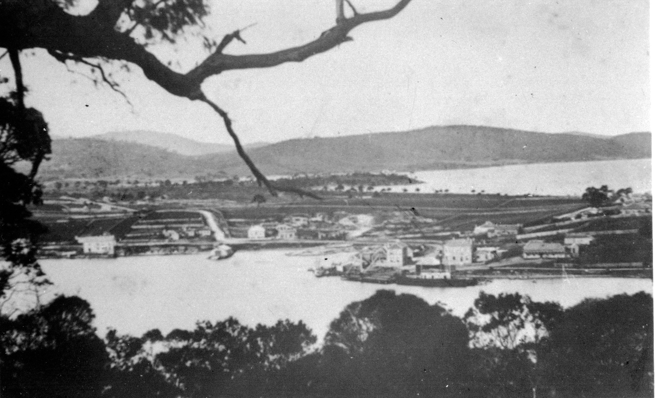 Full-size image