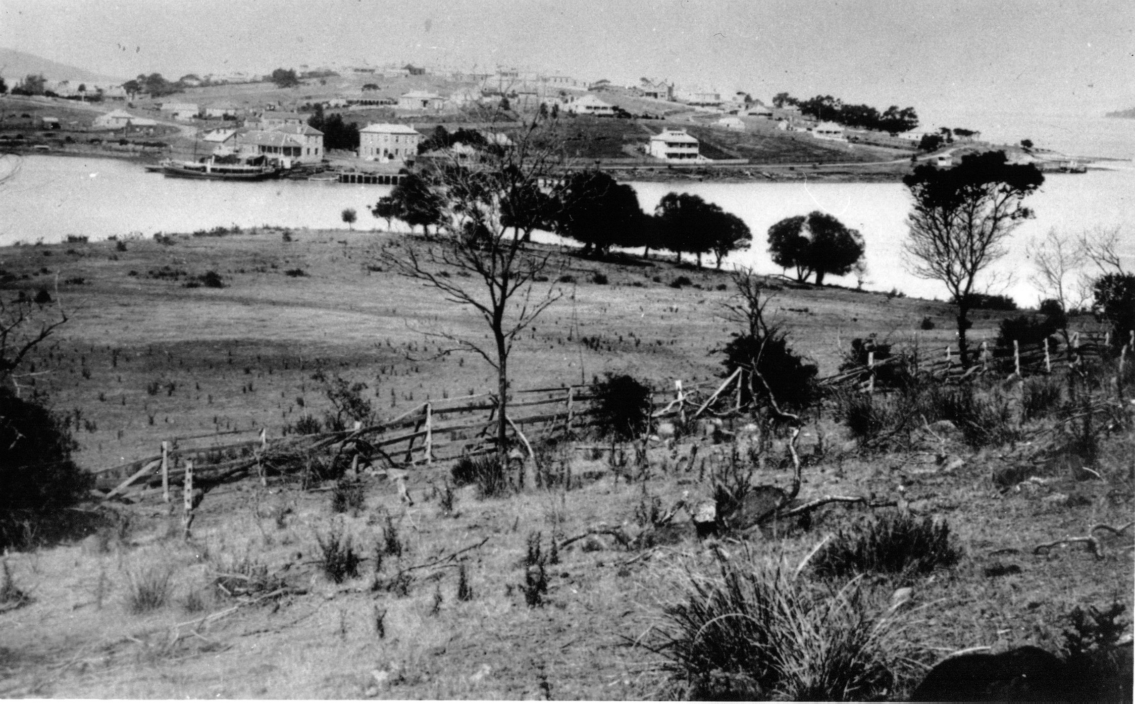 Full-size image