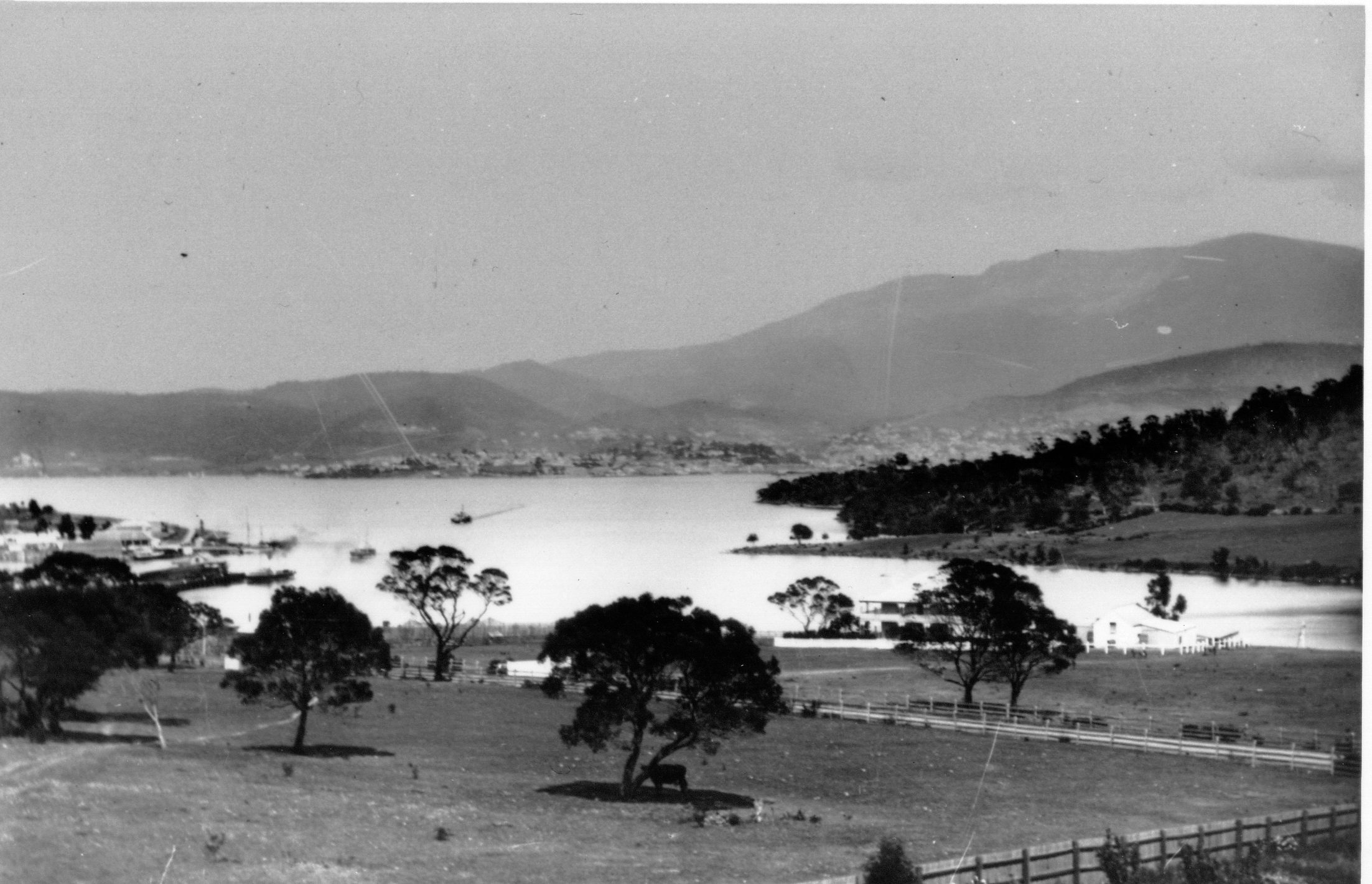 Full-size image